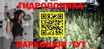стаф Кунгур