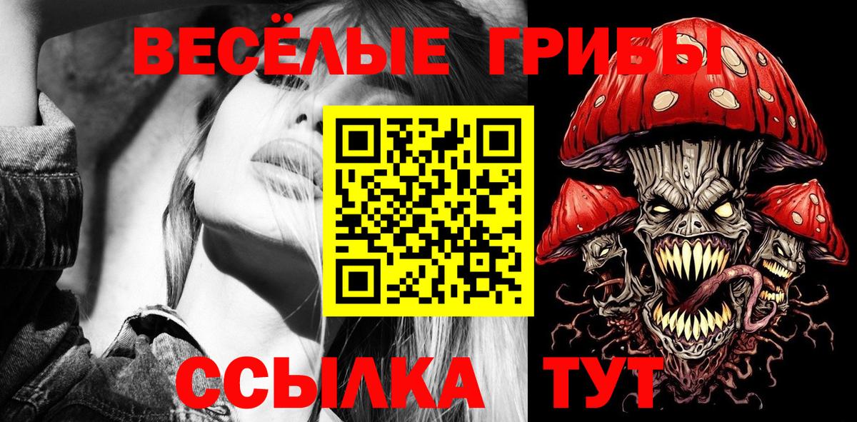 Чистополь  Галлюциногенные грибы прущие грибы  Вход с VPN 