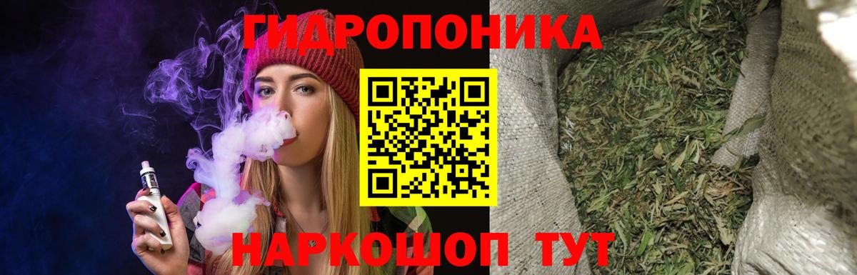 Шишки марихуана семена Чистополь